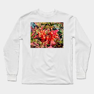 Red Berries in Fall Long Sleeve T-Shirt